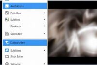 Tangkapan layar dari menu pengaturan XPlayer, menyoroti berbagai opsi konfigurasi yang tersedia untuk video, audio, dan subtitle.